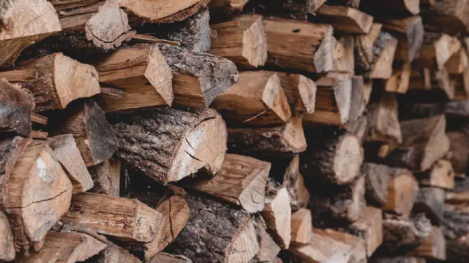 Bois de Chauffage 50cm